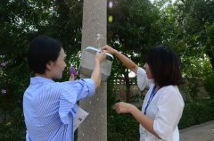 創(chuàng)建全國(guó)文明城市 華紡人在行動(dòng)