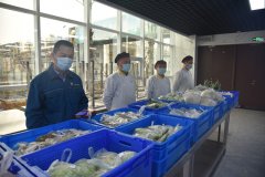 戰疫故事:把菜市場搬進食堂 解決員工后顧之憂